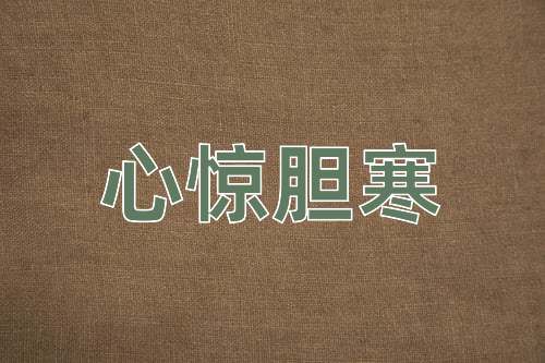 成语心惊胆寒