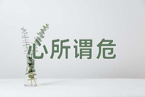 成语心所谓危