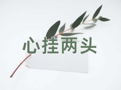 成语心挂两头