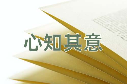 成语心知其意