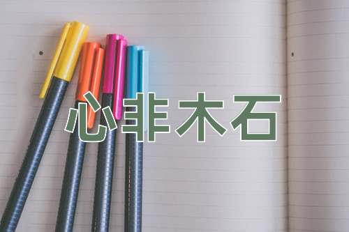 成语心非木石