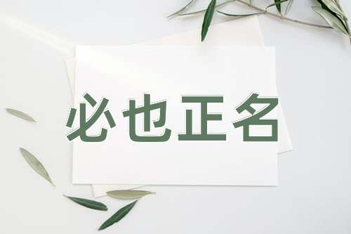成语必也正名