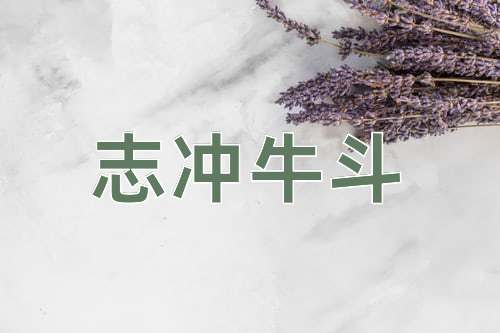 成语志冲牛斗