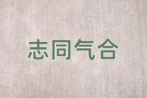 成语志同气合
