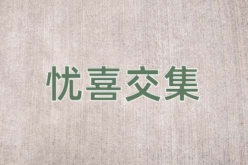 成语忧喜交集