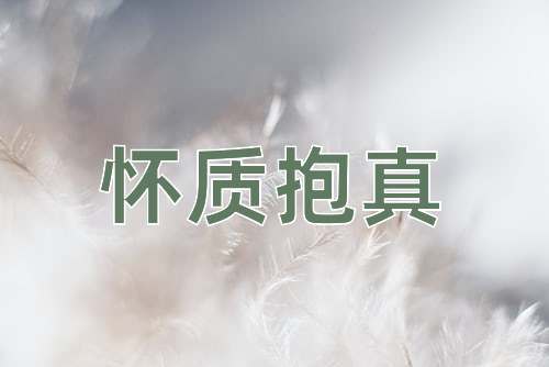 成语怀质抱真