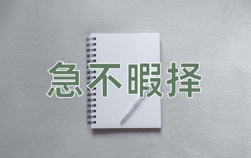 成语急不暇择