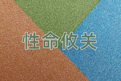 成语性命攸关