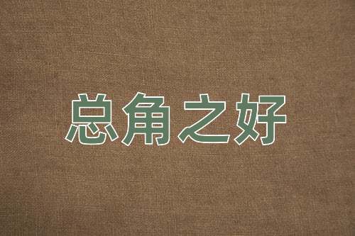 成语总角之好