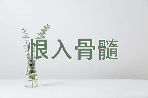 成语恨入骨髓