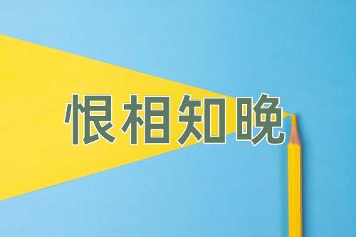 成语恨相知晚