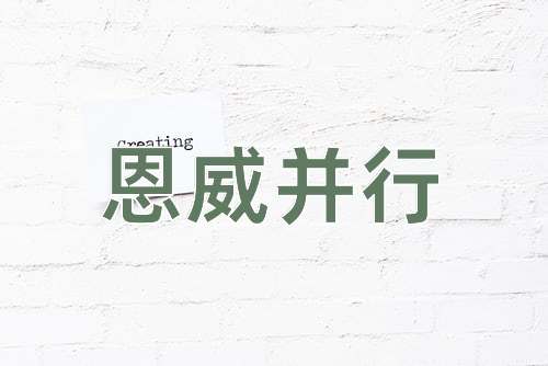 成语恩威并行
