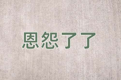 成语恩怨了了