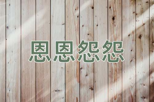 成语恩恩怨怨