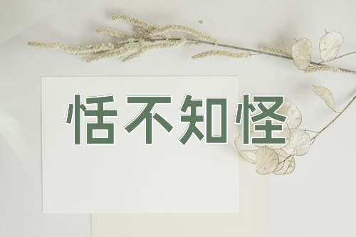 成语恬不知怪