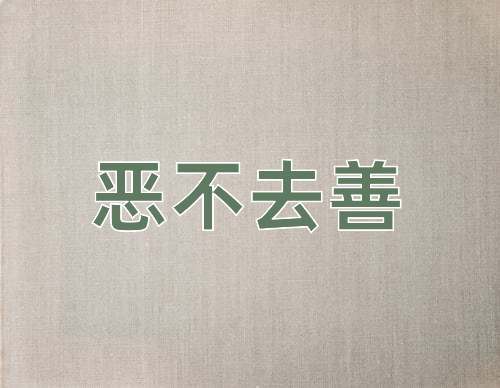 成语恶不去善