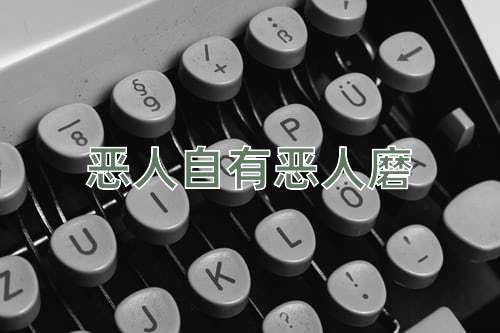 成语恶人自有恶人磨