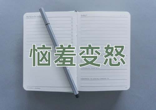 成语恼羞变怒