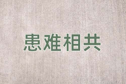 成语患难相共