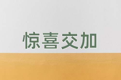 成语惊喜交加