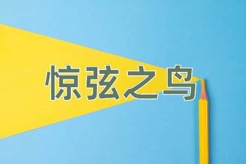 成语惊弦之鸟
