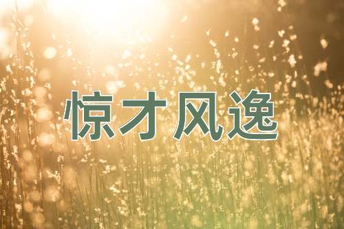 成语惊才风逸