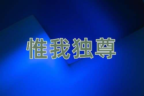 成语惟我独尊