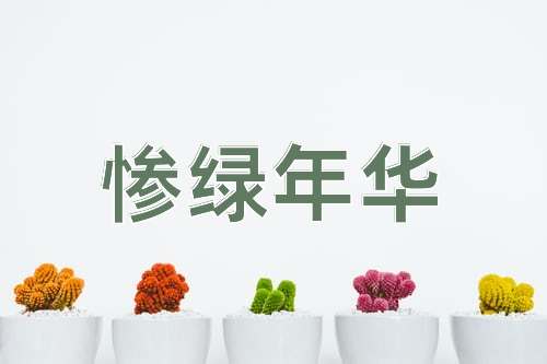 成语惨绿年华