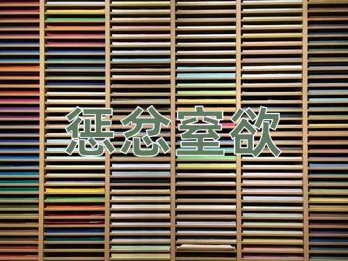 成语惩忿窒欲
