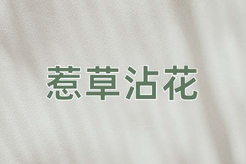 成语惹草沾花