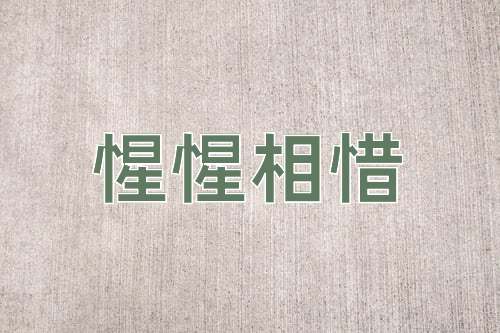 成语惺惺相惜