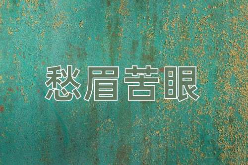 成语愁眉苦眼