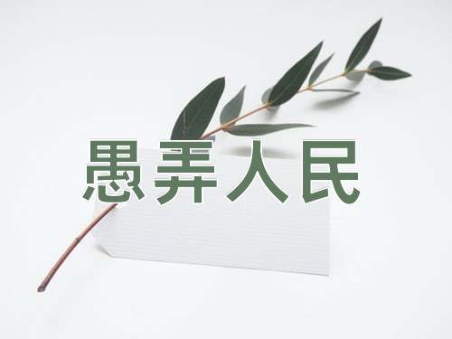 成语愚弄人民