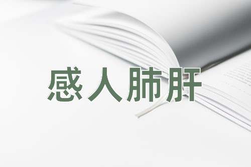 成语感人肺肝