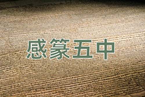 成语感篆五中
