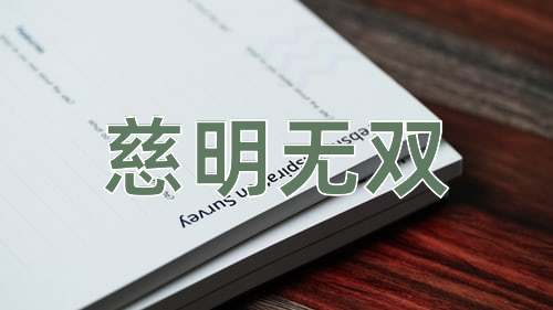 成语慈明无双