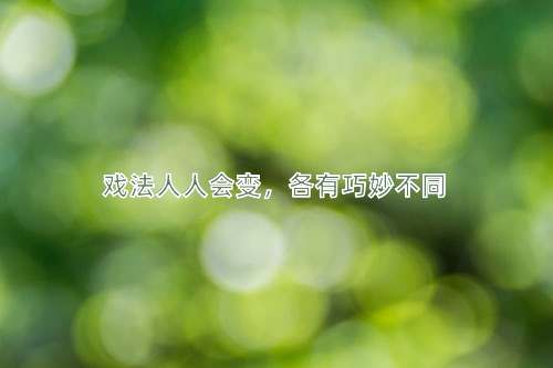 成语戏法人人会变，各有巧妙不同