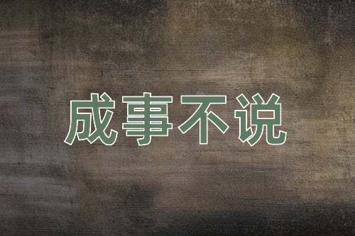成语成事不说