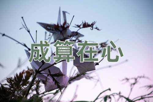 成语成算在心