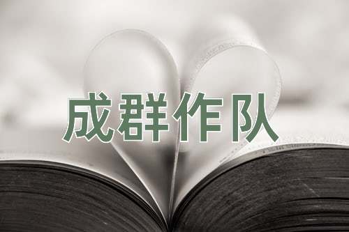 成语成群作队