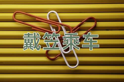 成语戴笠乘车