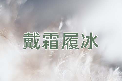 成语戴霜履冰