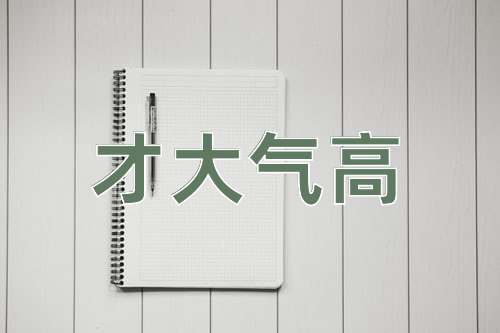 成语才大气高
