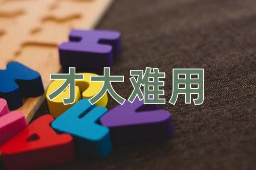 成语才大难用