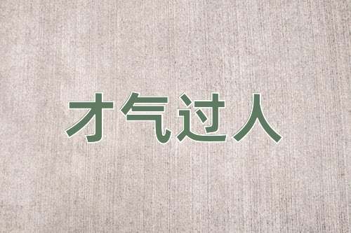 成语才气过人