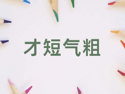 成语才短气粗
