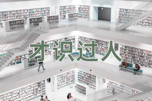成语才识过人