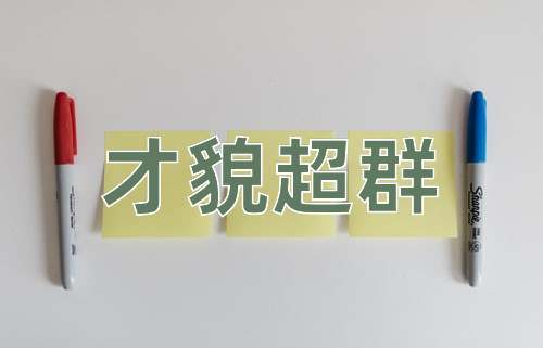 成语才貌超群