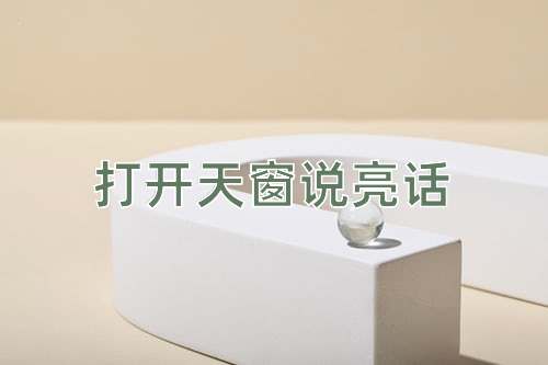 成语打开天窗说亮话