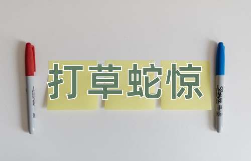 成语打草蛇惊